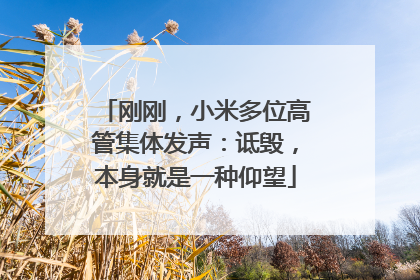 刚刚，小米多位高管集体发声：诋毁，本身就是一种仰望