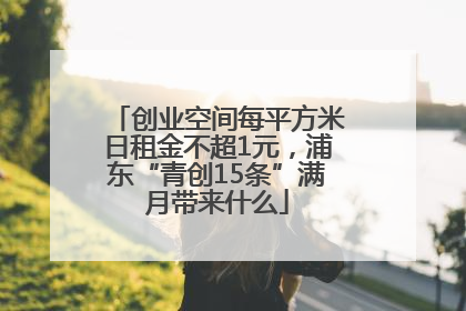 创业空间每平方米日租金不超1元，浦东“青创15条”满月带来什么