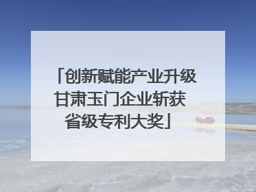 创新赋能产业升级 甘肃玉门企业斩获省级专利大奖
