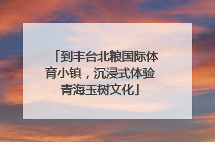 到丰台北粮国际体育小镇，沉浸式体验青海玉树文化