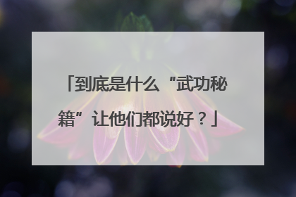 到底是什么“武功秘籍”让他们都说好？