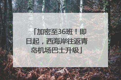 加密至36班！即日起，西海岸往返青岛机场巴士升级
