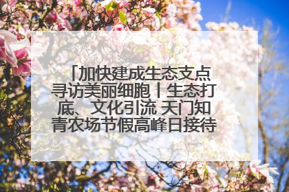 加快建成生态支点 寻访美丽细胞丨生态打底、文化引流 天门知青农场节假高峰日接待游客2万人次