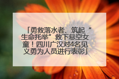 勇救落水者、筑起“生命托举”救下悬空女童！四川广汉对4名见义勇为人员进行表彰