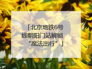 北京地铁6号线朝阳门站解锁“魔法出行”