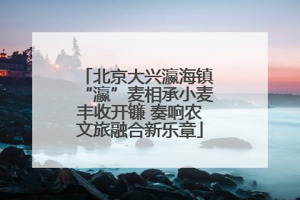北京大兴瀛海镇“瀛”麦相承小麦丰收开镰 奏响农文旅融合新乐章
