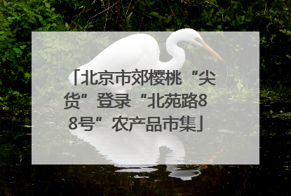 北京市郊樱桃“尖货”登录“北苑路88号”农产品市集