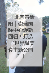 北向看衡阳｜崇盛国际中心焕新回归！打造“世界级美食主题公园”