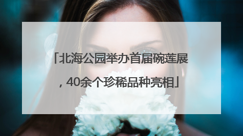 北海公园举办首届碗莲展，40余个珍稀品种亮相