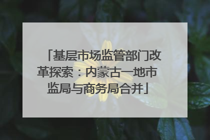 基层市场监管部门改革探索：内蒙古一地市监局与商务局合并