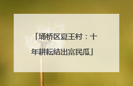 埇桥区夏王村：十年耕耘结出富民瓜