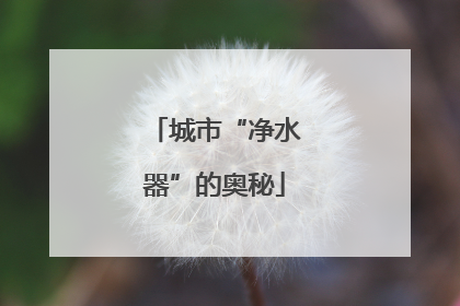 城市“净水器”的奥秘