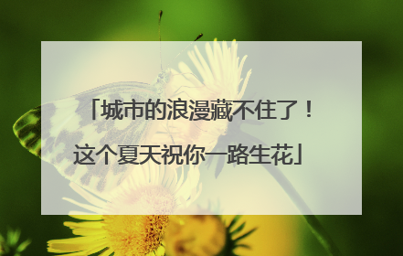 城市的浪漫藏不住了！这个夏天祝你一路生花