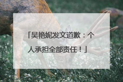 吴艳妮发文道歉：个人承担全部责任！