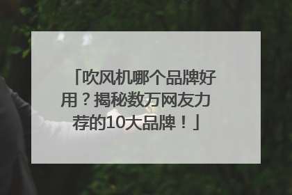 吹风机哪个品牌好用？揭秘数万网友力荐的10大品牌！
