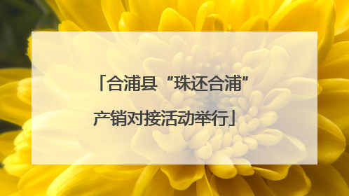 合浦县“珠还合浦”产销对接活动举行