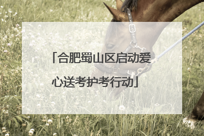 合肥蜀山区启动爱心送考护考行动