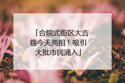 合院式街区大吉巷今天亮相！吸引大批市民涌入