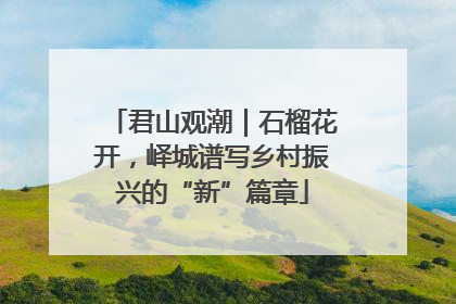君山观潮|石榴花开,峄城谱写乡村振兴的“新”篇章