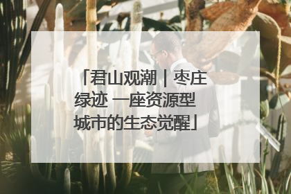 君山观潮｜枣庄绿迹 一座资源型城市的生态觉醒