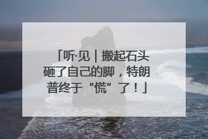听·见｜搬起石头砸了自己的脚，特朗普终于“慌”了！