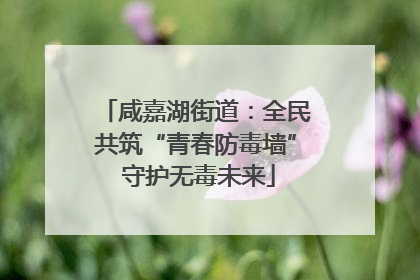 咸嘉湖街道：全民共筑“青春防毒墙” 守护无毒未来