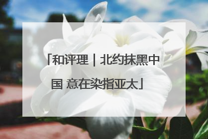 和评理｜北约抹黑中国 意在染指亚太