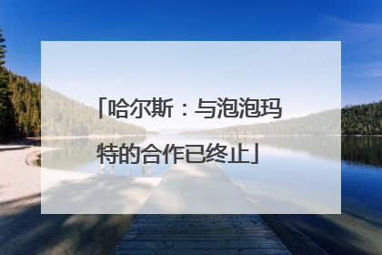 哈尔斯：与泡泡玛特的合作已终止