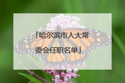 哈尔滨市人大常委会任职名单