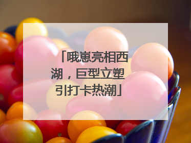 哦崽亮相西湖，巨型立塑引打卡热潮