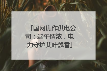 国网焦作供电公司：端午情浓，电力守护艾叶飘香
