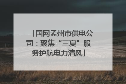 国网孟州市供电公司：聚焦“三夏”服务护航电力清风