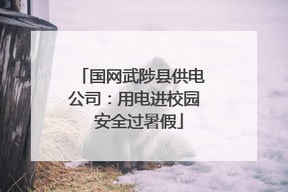 国网武陟县供电公司：用电进校园  安全过暑假