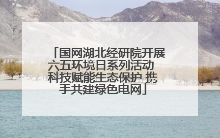 国网湖北经研院开展六五环境日系列活动 科技赋能生态保护 携手共建绿色电网