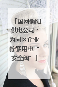 国网衡阳供电公司：为园区企业拧紧用电“安全阀”