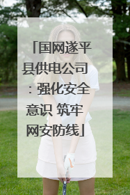 国网遂平县供电公司：强化安全意识 筑牢网安防线