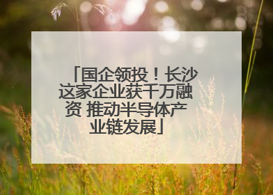 国企领投！长沙这家企业获千万融资 推动半导体产业链发展