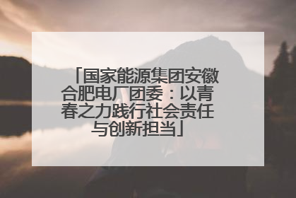 国家能源集团安徽合肥电厂团委：以青春之力践行社会责任与创新担当