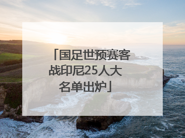 国足世预赛客战印尼25人大名单出炉
