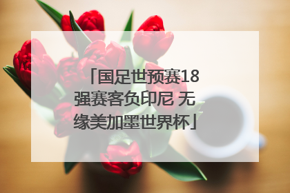 国足世预赛18强赛客负印尼 无缘美加墨世界杯