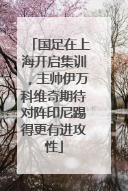 国足在上海开启集训，主帅伊万科维奇期待对阵印尼踢得更有进攻性