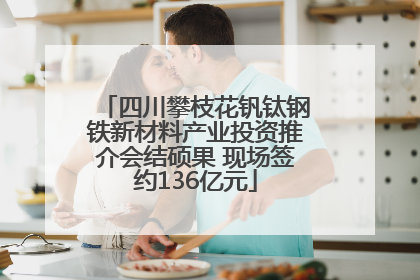 四川攀枝花钒钛钢铁新材料产业投资推介会结硕果 现场签约136亿元