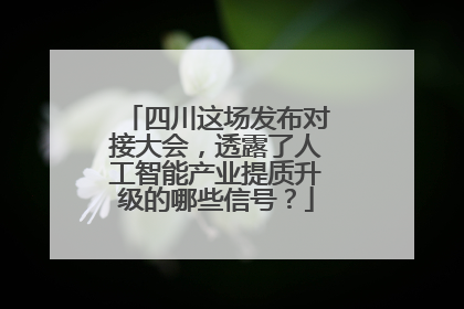 四川这场发布对接大会，透露了人工智能产业提质升级的哪些信号？