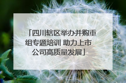 四川辖区举办并购重组专题培训 助力上市公司高质量发展