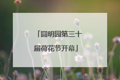 圆明园第三十届荷花节开幕