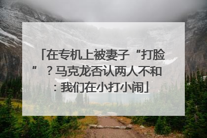在专机上被妻子“打脸”？马克龙否认两人不和：我们在小打小闹