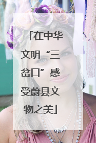 在中华文明“三岔口”感受蔚县文物之美