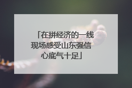 在拼经济的一线现场感受山东强信心底气十足