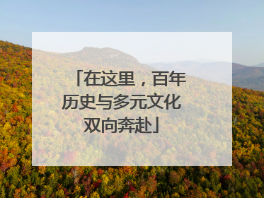 在这里，百年历史与多元文化双向奔赴