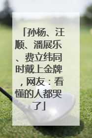 孙杨、汪顺、潘展乐、费立纬同时戴上金牌，网友：看懂的人都哭了